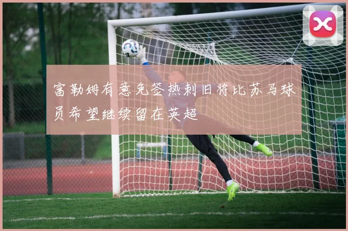 富勒姆有意免签热刺旧将比苏马球员希望继续留在英超